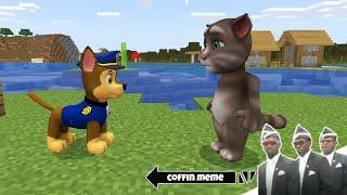 Talking Tom Cat vs Paw Patrol in Minecraft - Coffin Meme