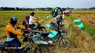 HIBURAN TUKANG OJEK GABAH DAPAT SAWERAN , KOMBEN PADI