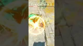 Flux Construct II