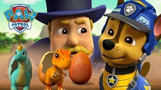 恐龍救援隊的狗狗們把恐龍蛋安全帶回家！- PAW Patrol 汪汪隊立大功 - 兒童卡通