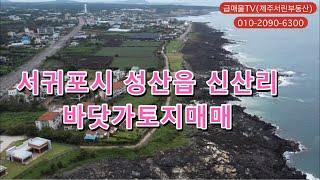 서귀포시 성산읍 신산리 바닷가 토지매매