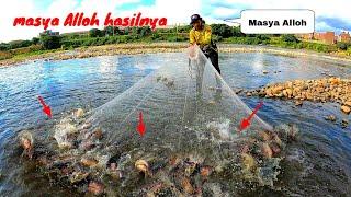 Masya Alloh hasilnya cuma jala di selokan sampai begini hasilnya.. jala ikan ikan di pinggir kota