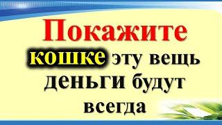 Покажите кошке эту вещь, деньги будут всегда. Как животное может привлечь достаток вернуть зло врагу