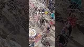 Драка на наурызе за тарелка плова и бауырсака, 21 марта