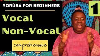 Yoruba Lessons for Beginners (Ẹ̀kọ́ Yorùbá) 1: All You Need to Know First