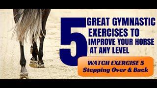 5 Great Gymnastic Exercises to Improve Your Horse - Exercise 5 (Stepping Over & Back)