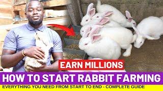 How To Start RABBIT FARMING And Earn Millions In 4 Months - Complete Guide