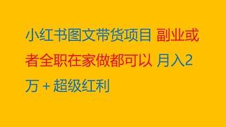 小红书图文带货项目，副业或者全职在家做都可以，月入2万＋超级红利