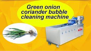 DS-WB260 Green onion and coriander cleaning machine