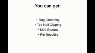 Bow Meow Pet Care Centre North Bay