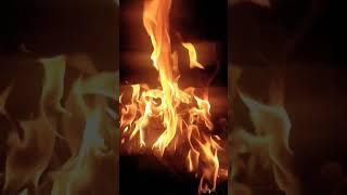 Мотивация огня 120. Зачем жить как у тебя всё есть? #удачныевыходные #цитаты #петрмамонов