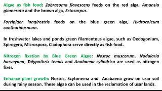 Economic importance of Algae