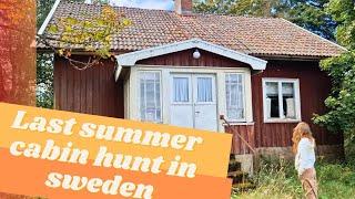 Last summer cabin hunt in Sweden