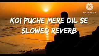 koi puche mare dil se  | slowed & reverb #sad #lyrics