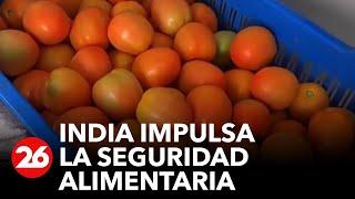 India impulsa la seguridad alimentaria