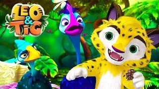 LEO and TIG   NEW  The Cheerful Cassowary  Cartoon For Children  Moolt Kids Toons Happy Bear