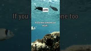 If you love someone too much...