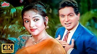 Tere Husn Ki Kya Tareef Karoon 4K : Rafi - Lata Romantic Song | Dilip Kumar | Vyjayantimala | Leader