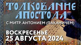 Воскресенье, 25 августа 2024 года. Толкование Апостола с митр. Антонием (Паканичем).