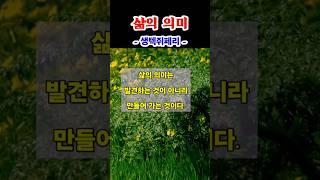 삶의 의미는 무엇일까? #shorts #삶