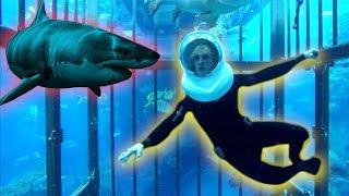 TRAPPED IN A CAGE WITH GIANT SHARKS OHMYGAWWWWDDDD!