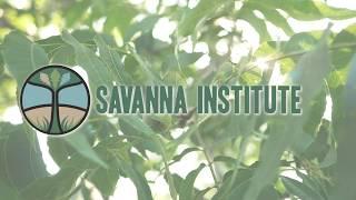 Farm Tour Series - Savanna Institute