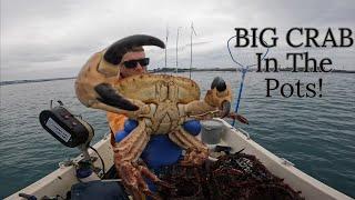 BIG CRAB! - Lobsters, Brown Crab, Spider Crab, Conger Eels and Much More! - UK Crab Fishing Video!