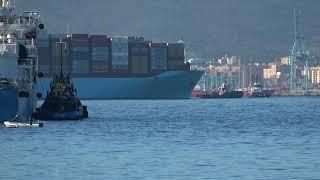 MARIE MAERSK Container Ship, Tug Boats Meeting the Ship 10 Dec 2024