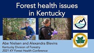 Forest Health Issues in Kentucky