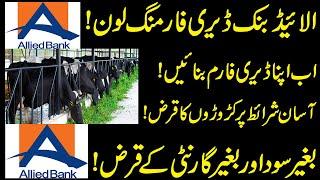 Dairy Farm Loan | Allied Bank Livestock Loan | How To Apply Dairy Farm Loan | Loan For Livestock |