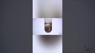 химический эксперимент,chemical experiment,kimyoviytajriba #lifehacks#chemistry #химия#kimyo#shorts