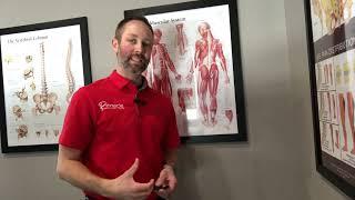 Did You Know? The soft tissues that insert into the low back can often be the cause of back pain.