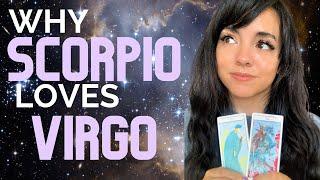 SCORPIO AND VIRGO| LOVE COMPATIBILITY | SYNASTRY