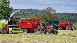 Die Raubkatze zurück im Gras - Claas Jaguar 970 beim Gras häckseln ( John Deere , IHC und Case )