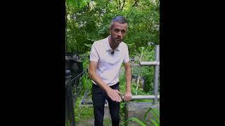 Сколько стоит Памятник на могилу?