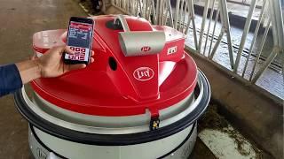 Lely juno