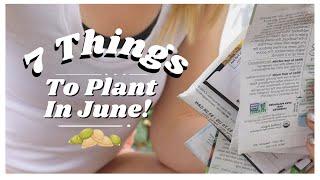 7 Things You Can (And Should) Plant In June - Zones 3 - 11 