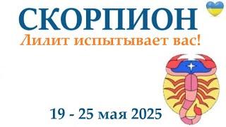 СКОРПИОН  19-25 май 2025 таро гороскоп на неделю/ прогноз/ круглая колода таро,5 карт + совет