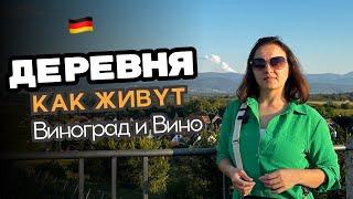 Как живут в деревнях в Германии / Выращивание винограда / Деревня и горы