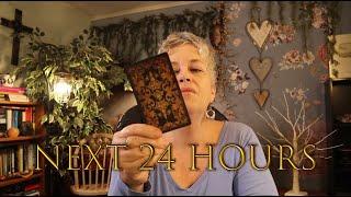 Next 24 Hours Energy Update ~ Not Interested ~ Daily Tarot Reading