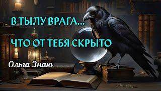️🪃  Новолуние  В тылу врага. Что там происходит? 