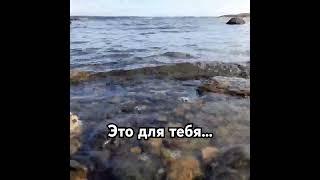 #мотивация#мудрость#цитаты#успех