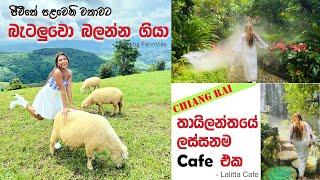 ජීවීතේ පළමුවතාවට බැටලුවො බලන්න ගියා | තායිලන්තයේ ලස්සනම Café එකට යමුද? | Chiang Rai, Thailand