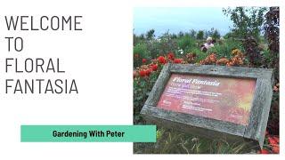 Welcome to Floral Fantasia | Peter Seabrook