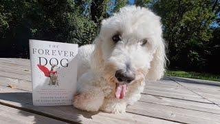 The Forever Dog - A Book Review And Recommendation