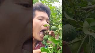 Smart SIMPLE Idea and USEFUL with Melon eating skills #survivalskills #bushcraft #camping #outdoors