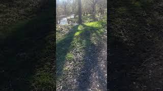 д. Уразбай Ишимбайского района, респ. Башкортостан