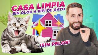 Cómo tener TU CASA LIMPIA viviendo CON GATOS | Quita olor a pipí, elimina pelos, suelo reluciente