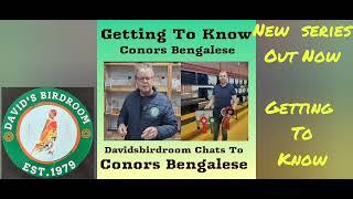 Getting to know. New series on bird fanciers Davidsbirdroom Chats to ?