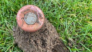 Metal Detecting Nz: Park Hunt with Equinox 800